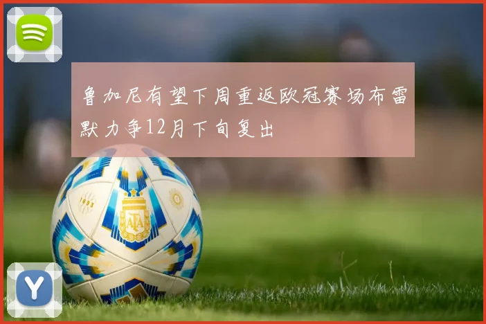 鲁加尼有望下周重返欧冠赛场布雷默力争12月下旬复出
